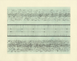 Margie NEUHAUS: SEGUE at Rick Wester Fine Art